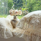 Beige Lace Cotton Bedding Set