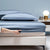 Bamboo Luxe Sheet Set